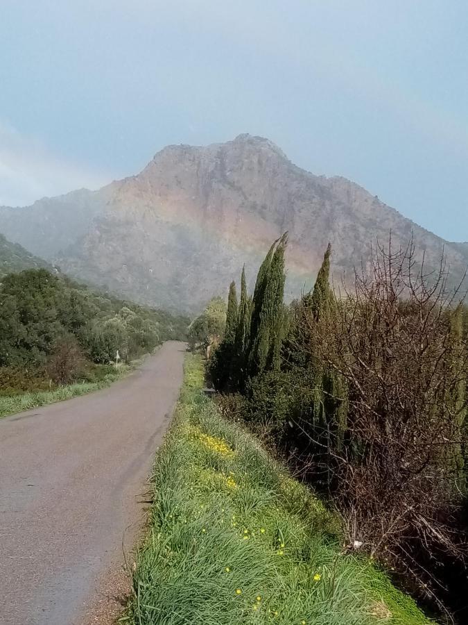 Su Cappeddu Agriturismo San Giorgio  Dış mekan fotoğraf